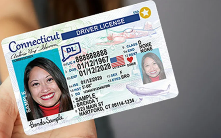 Connecticut Driver’s License