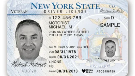 New York Driver’s License