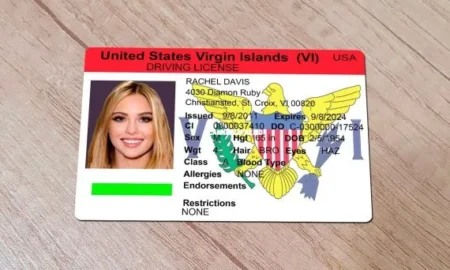 Virgin Islands Driver’s License