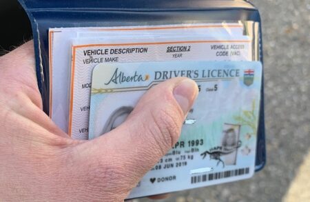 Alberta Driver’s License