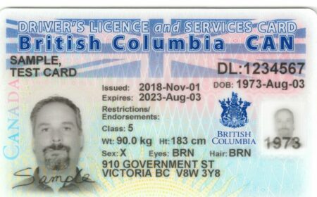 British Columbia Driver's License