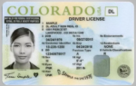 Colorado Driver’s License
