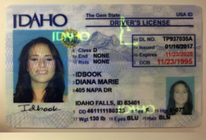 Idaho Driver’s License