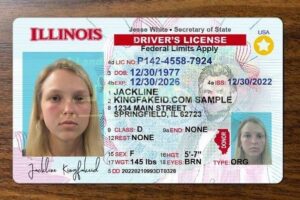 Illinois Driver’s License