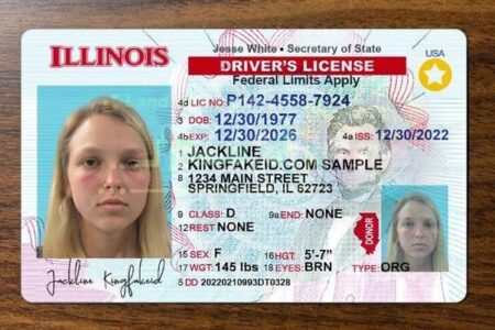 Illinois Driver’s License