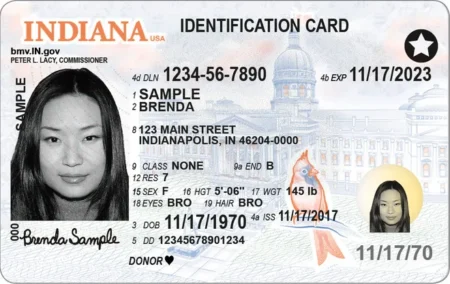 Indiana Driver’s License