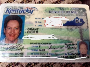 ky driver's license