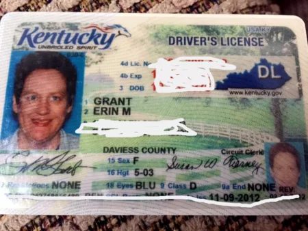 ky driver's license