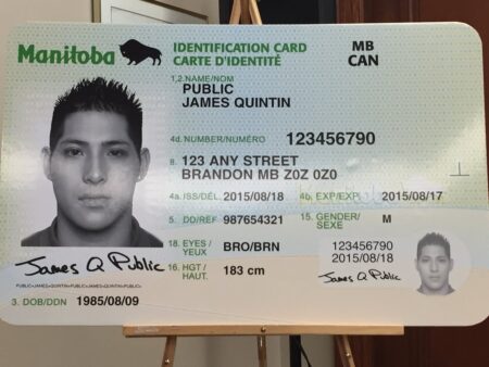 Manitoba Driving License
