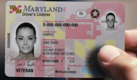 Maryland Drivers License