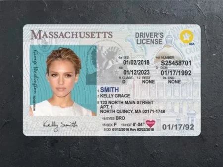 Massachusetts Driver’s License