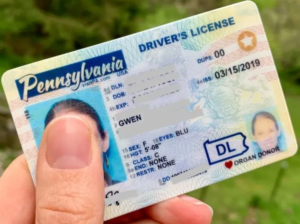 Pennsylvania Driver’s License