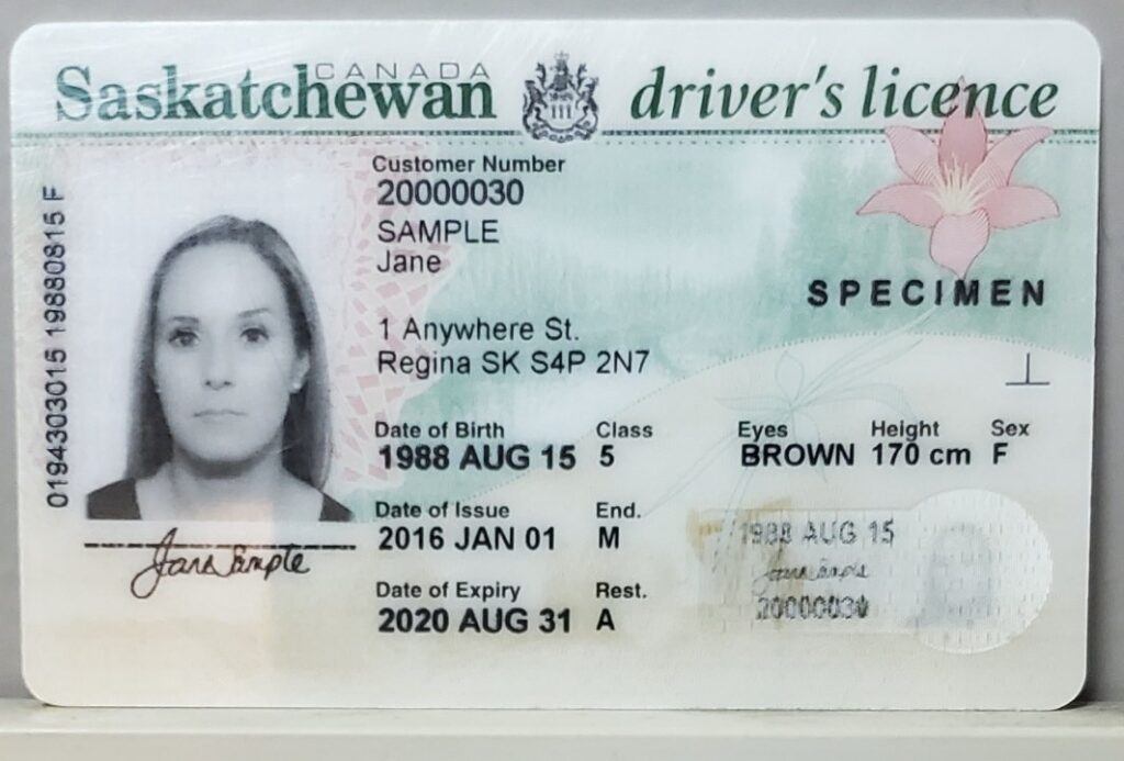 drivers license saskatchewan