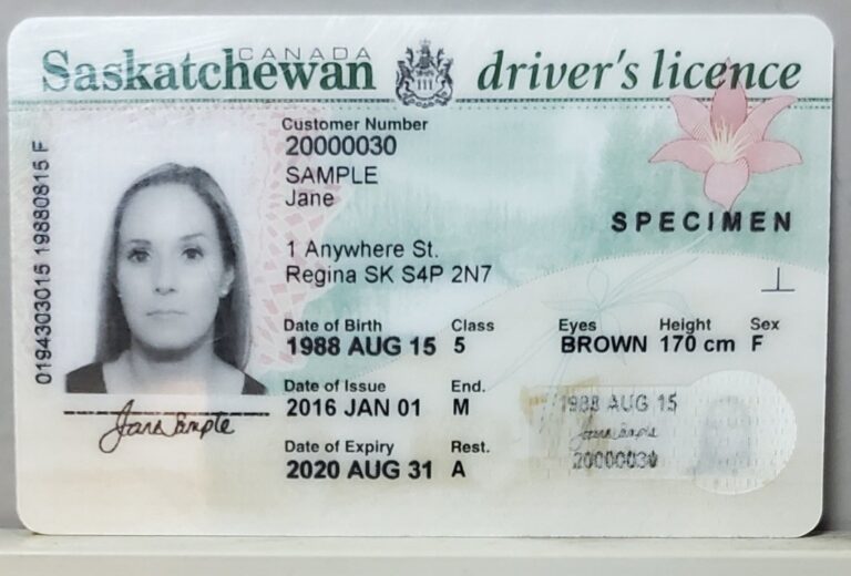 Saskatchewan Driver Licence